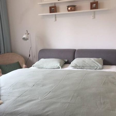 A Cosy Studio In The City Centre Bratislava Eksteriør billede